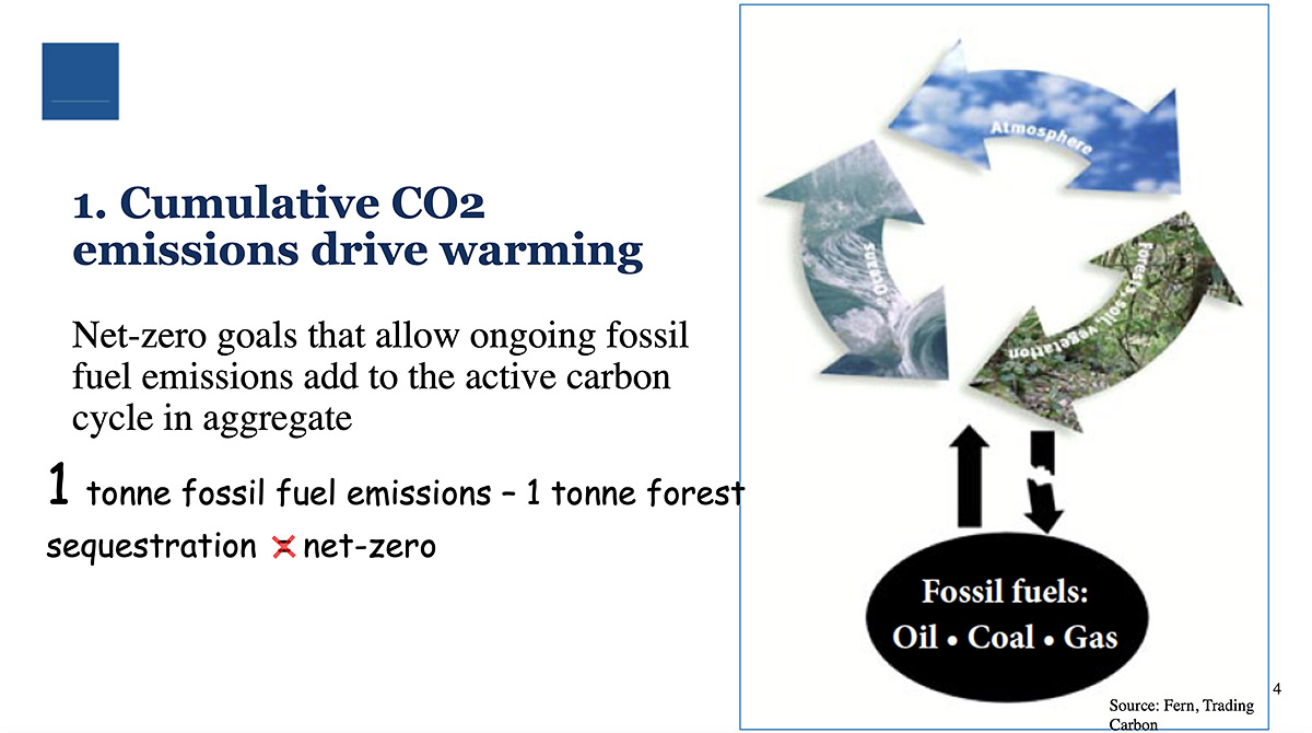 A key reason why fossil fuel emissions can't be balanced by removing CO2 into trees is that this carbon will in short order be released back into the fast carbon cycle