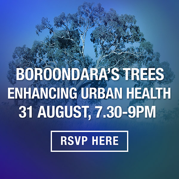 August 31 urban trees