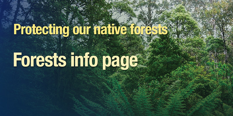 Forests Information Page link