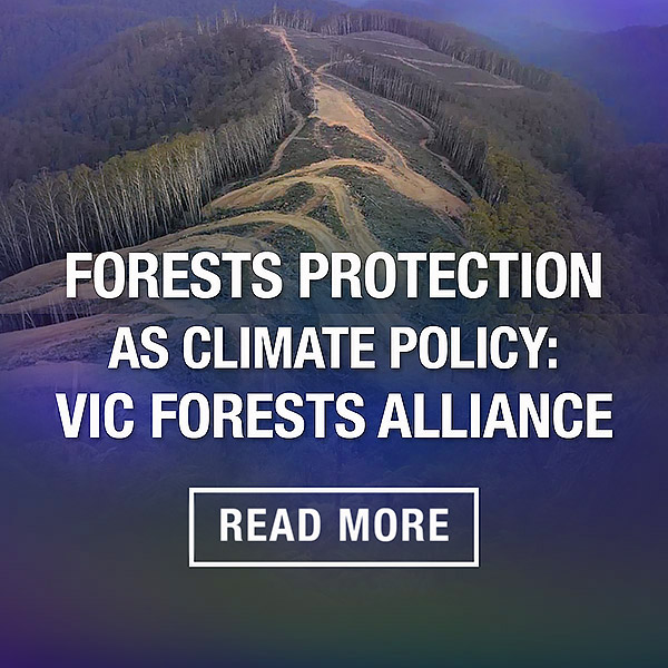Forests protection as climate policy - Victorian Forests Alliance