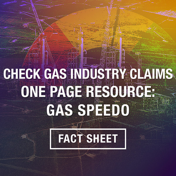 Gas Speedo Fact Sheet