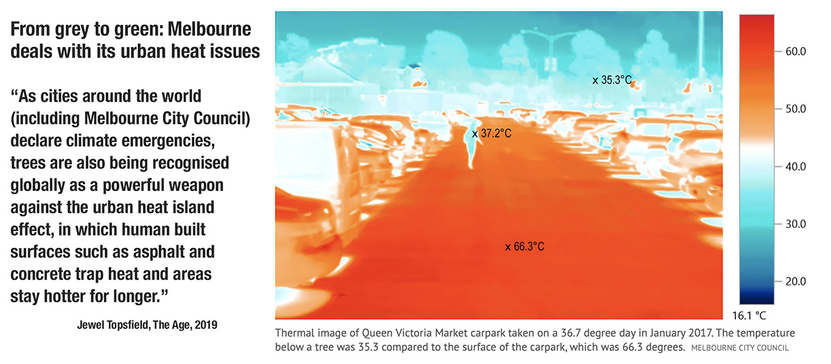 Impact of trees on surfaces temperatures in a Melbourne car park 1200