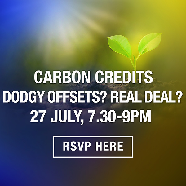 July 27 carbon credits