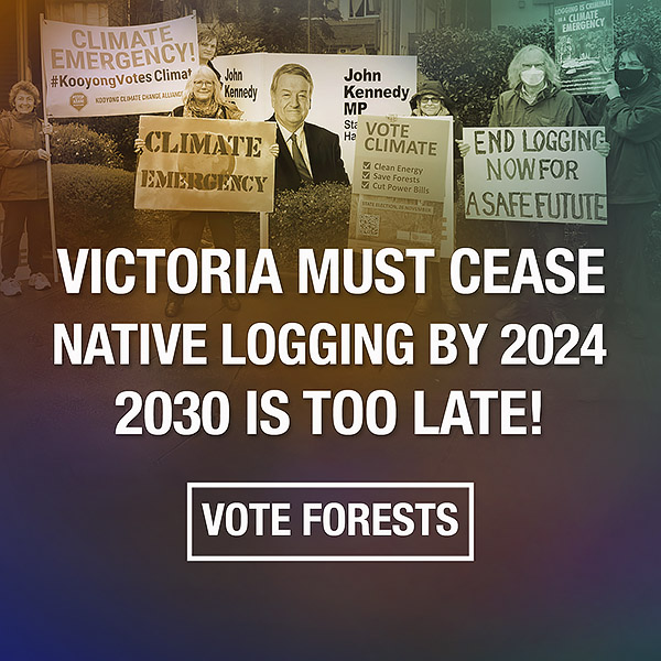 Key issue - we must stop native forest logging by 2024