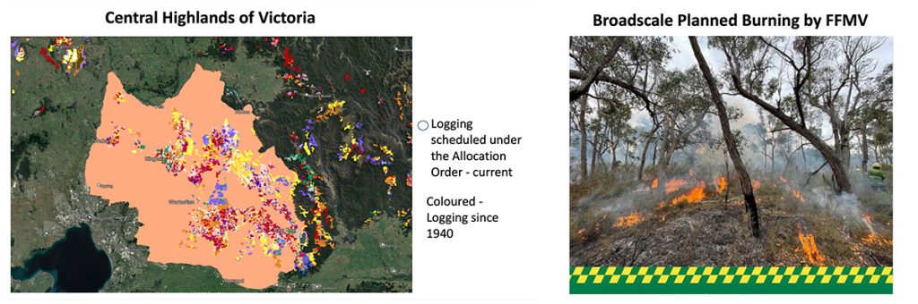 Native forest logging and burning is not finished in Victoria
