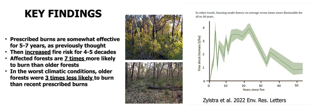 Prescribed burns only have a temporary protective effect and increase fire risk many times for decades afterwards
