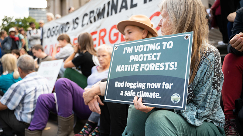 Protect Native Forests - join Lighter Footprints Forests Working Group