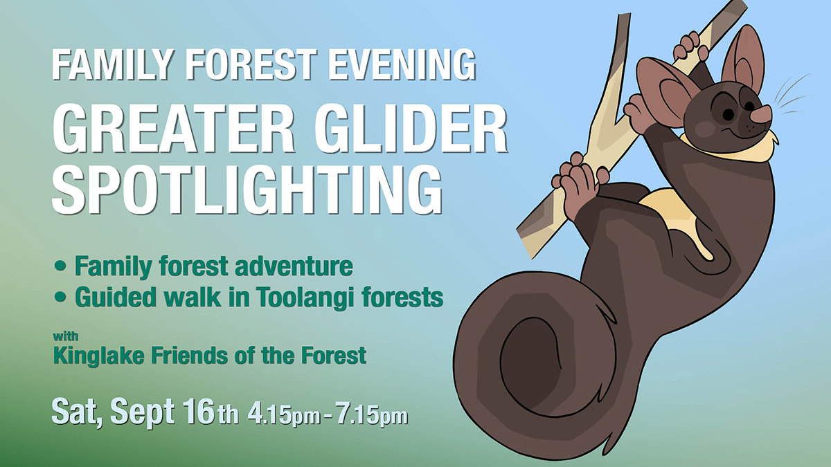 Sept 16 Family forest evening - greater glider spotlighting