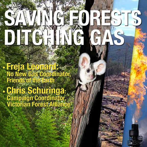 Saving forests, Ditching gas
