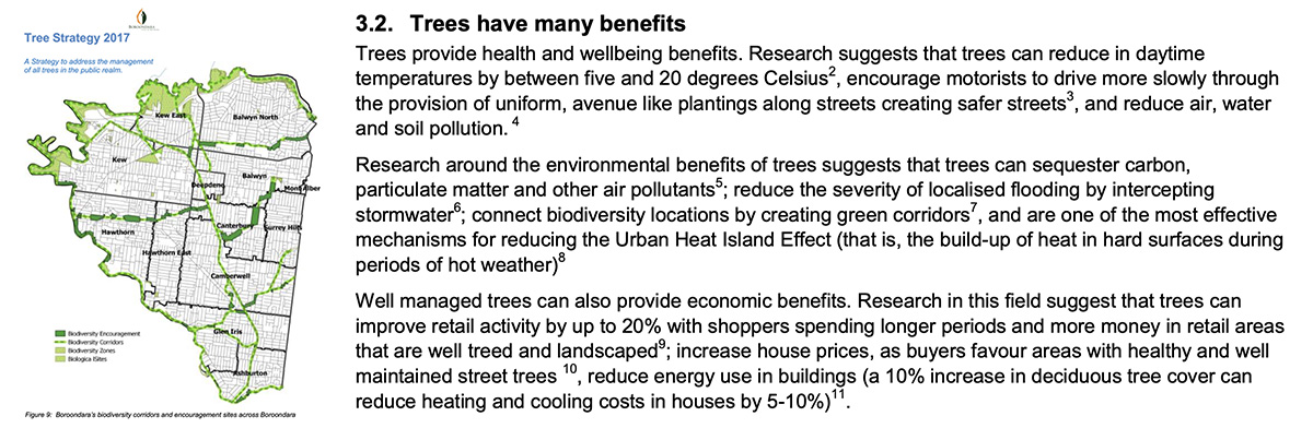 The Boroondara Tree Strategy 2017 found that Boroondara's tree had a net economic benefit of over $274m per year