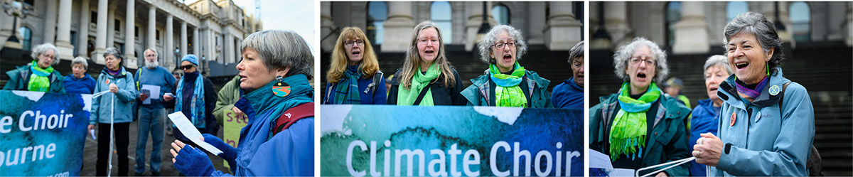 The Climate Choir members are long term activists, and many have been part of the forest protection movement for decades