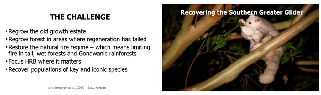 The key task now is restoration and recovery, especially species like the Southern Greater Glider