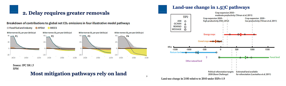 The longer the delay, the more risk of overshoot balanced by land-based offsets which will use up a large amount of land