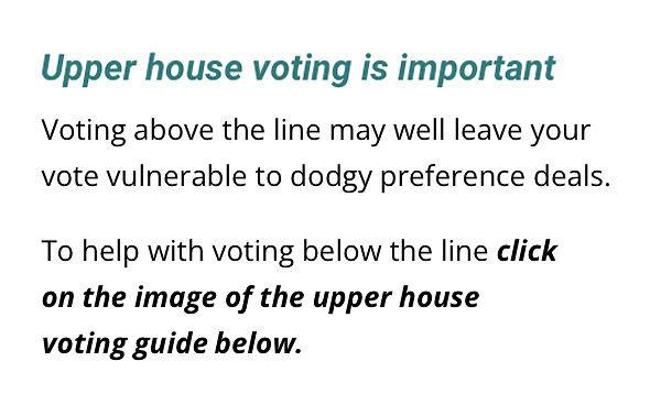 Upper house voting guide - click on the image below