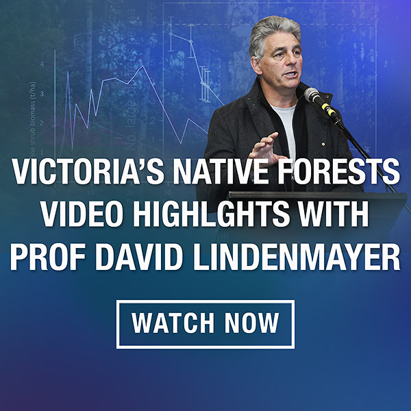 Victoria's native forests with Prof David Lindenmayer - video highlights