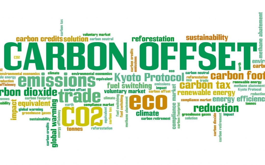 Carbon credits and carbon markets